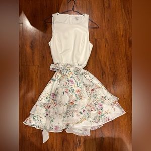 Ever New Summer Sleeveless dress